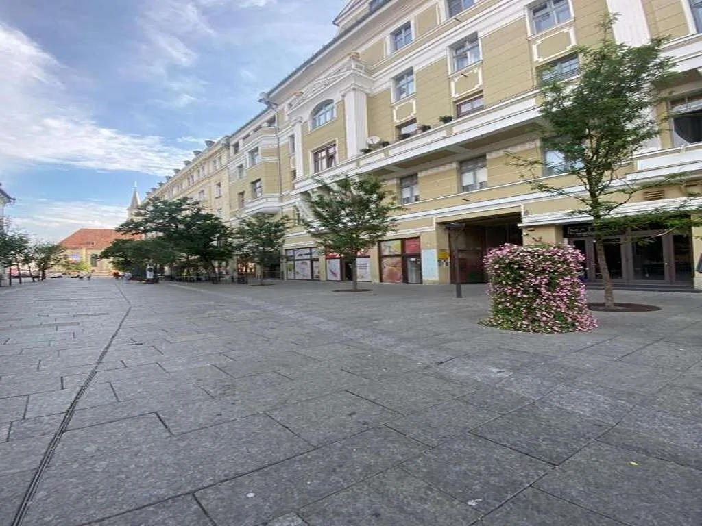 Central studio flat Cluj-Napoca