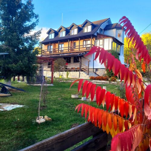 Pensiunea Plaiul Domnesc Runcu