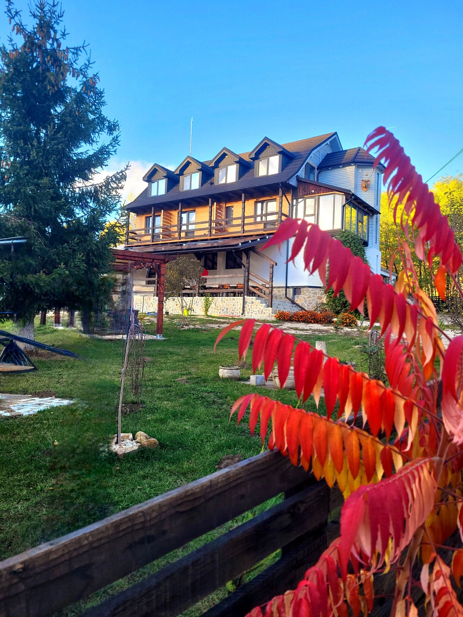 Pensiunea Plaiul Domnesc Runcu