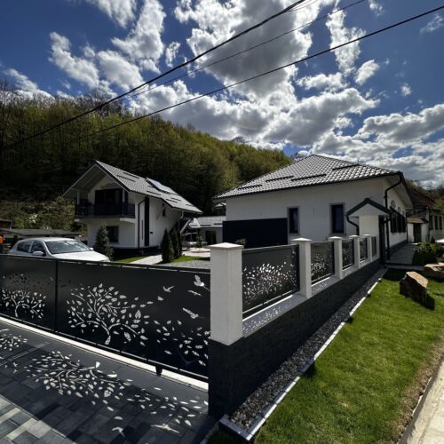 Casa din Vale Văliug