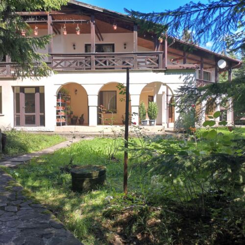 Vila Arcadia Suceviţa