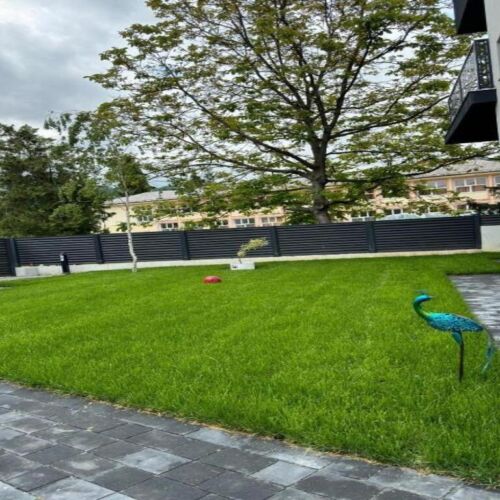 Casă de vacanță Cris 2 Băile Olănești