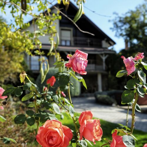 Sziget Apartman Pócsmegyer