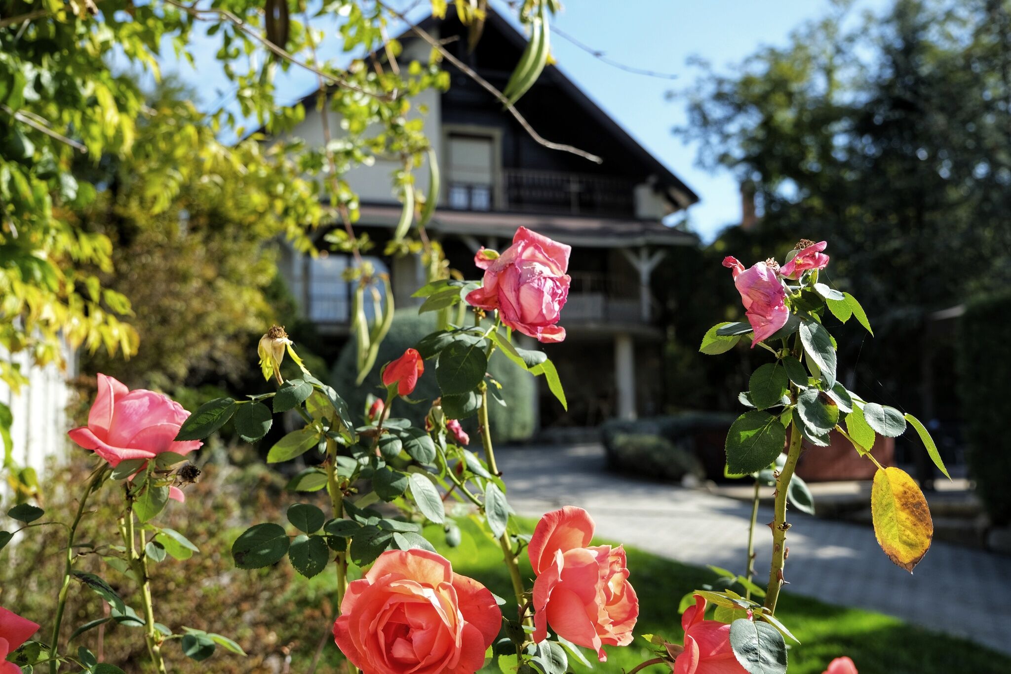 Sziget Apartman Pócsmegyer