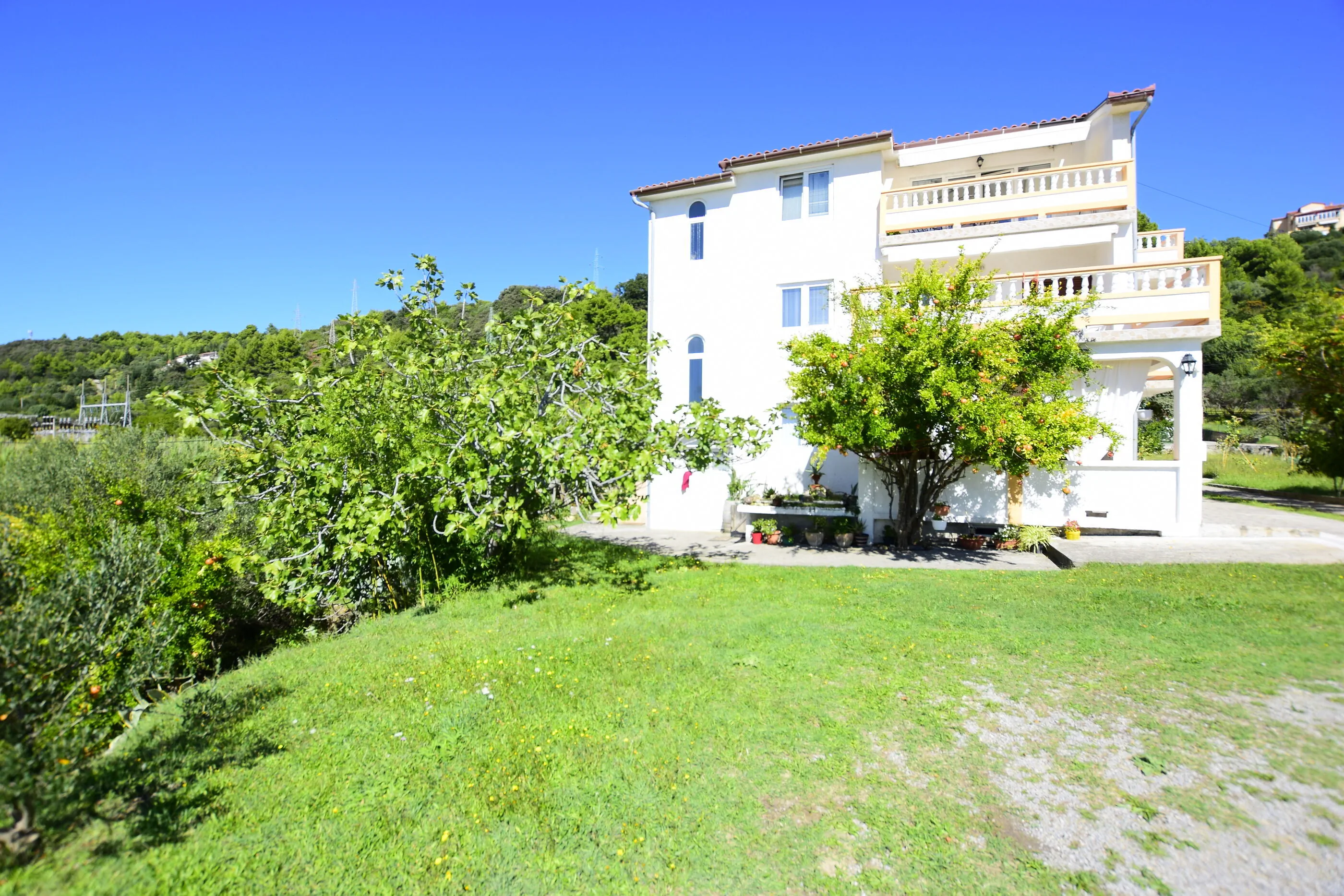 Apartments Rasic Palit