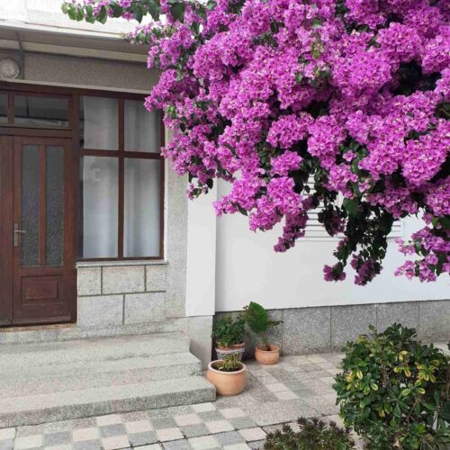 Apartmanok Parkolóhellyel Rab - 24792