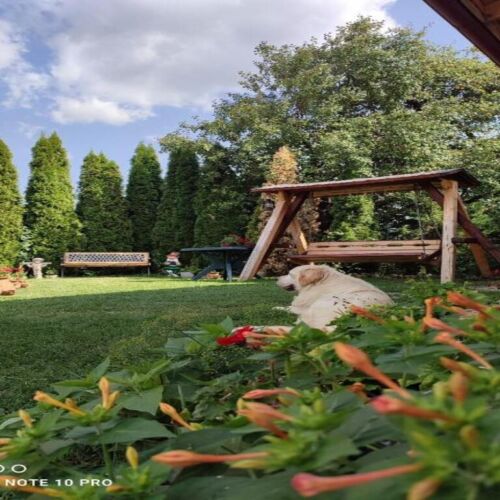 Casa Rustik Bâltişoara