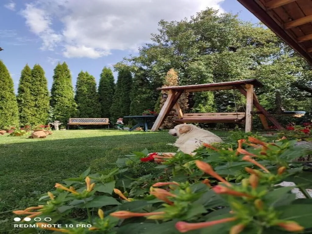 Casa Rustik Bâltişoara