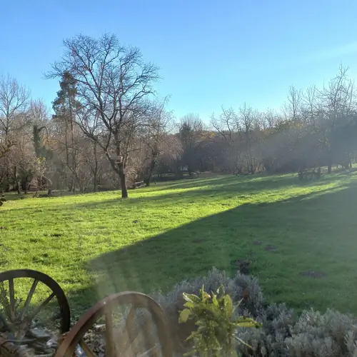 Szaun&aacute;s Kish&aacute;z