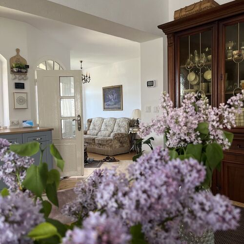 Casa Mystic Twistic Vidra