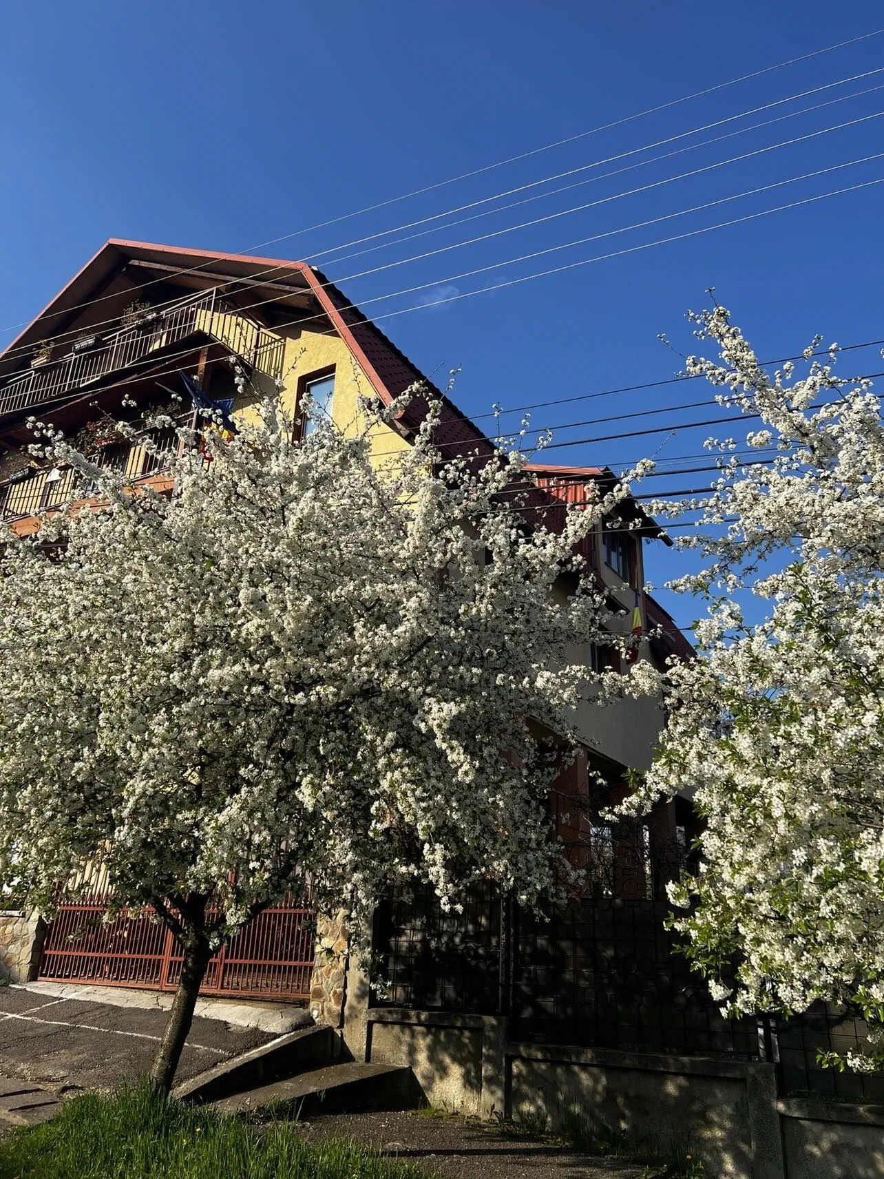  Camere de Inchiriat Spicului Cluj-Napoca