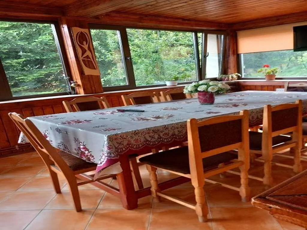 Casa Elli Buşteni