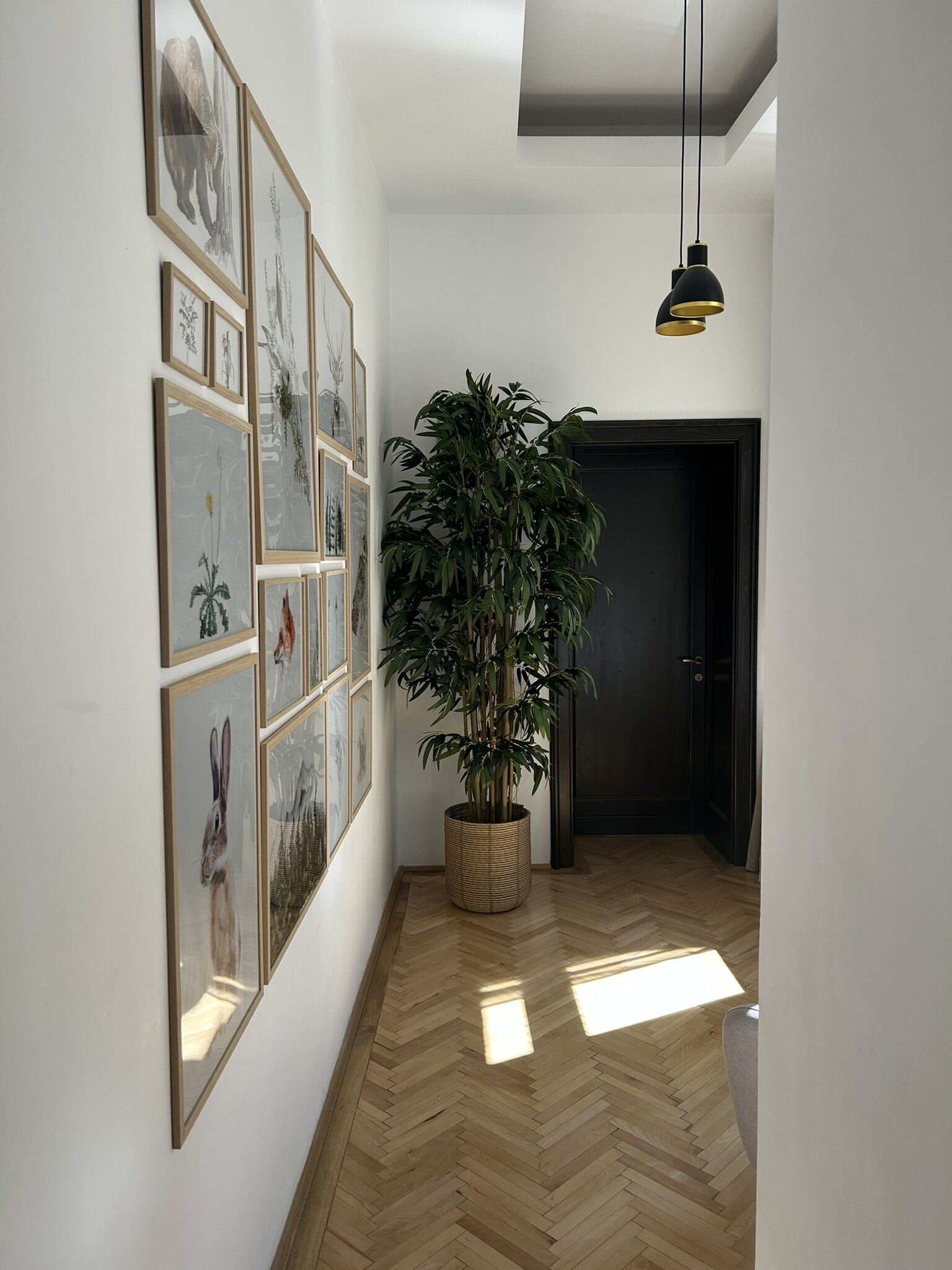 Apartament Nature Inspired Stay in Piata Sfatului Brașov