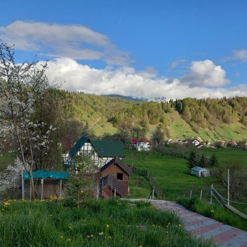 Pensiunea Brian Moieciu de Jos