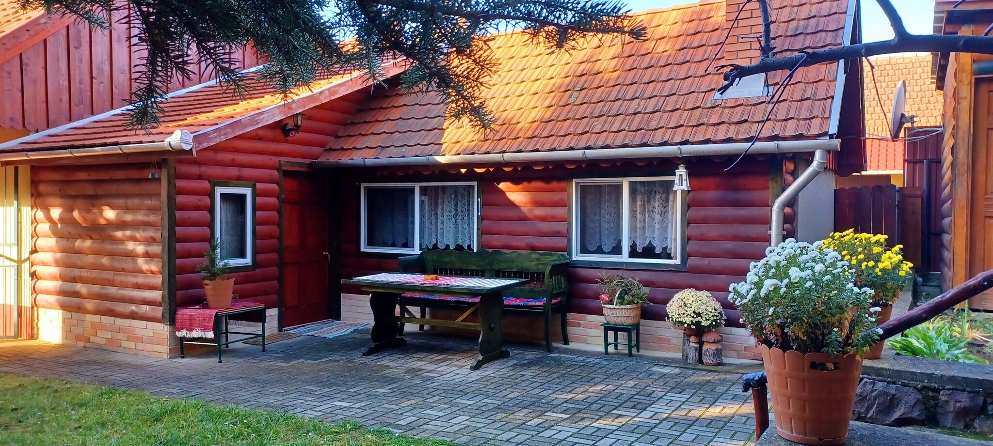 Fenyő Kuckó Bodony