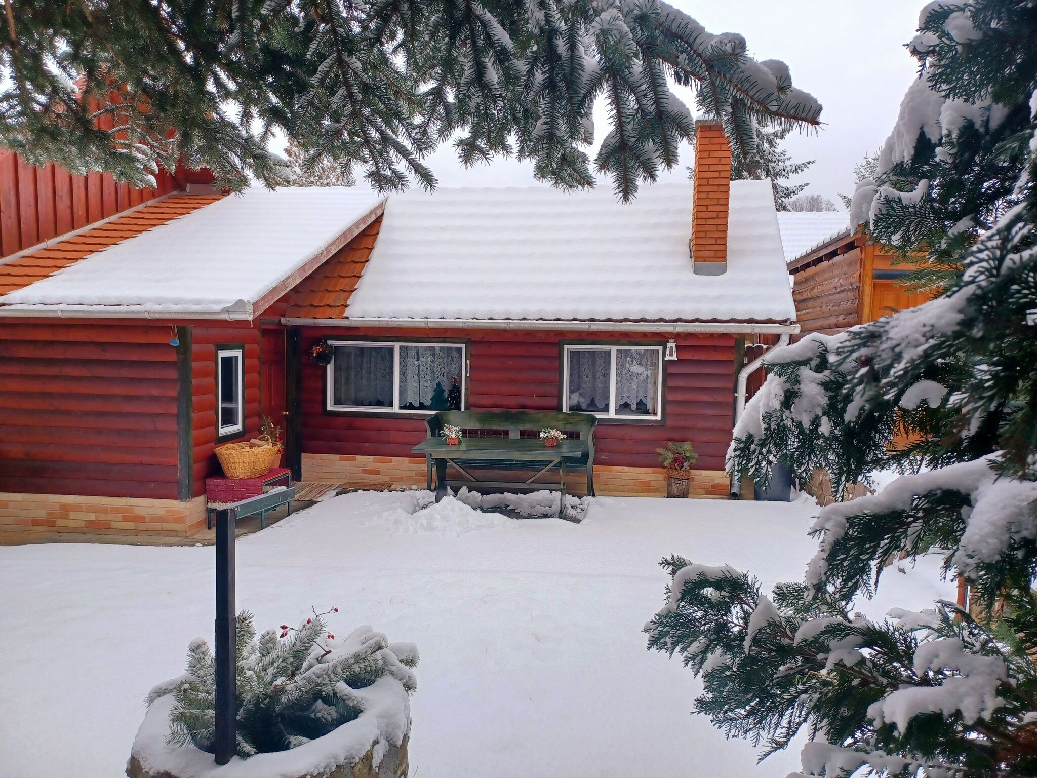 Fenyő Kuckó Bodony
