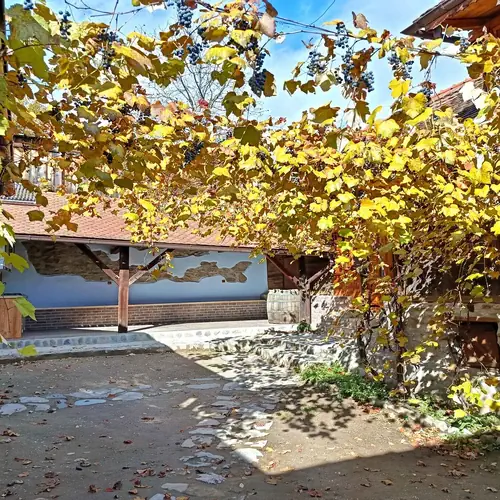 Casa Rico &bull; Vale, Saliste, Marginimea Sibiului