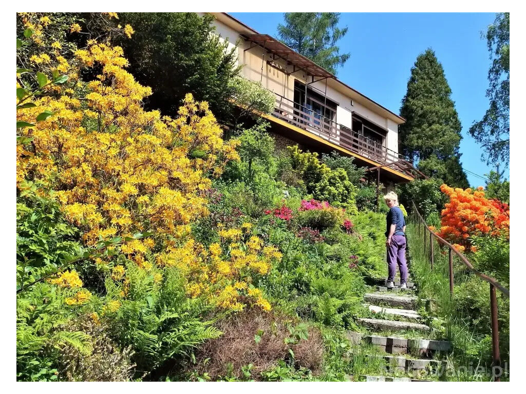 Pokoje Pod Brzózką Wisła 