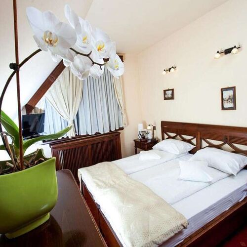 Pensiunea Brasovu Vechi 