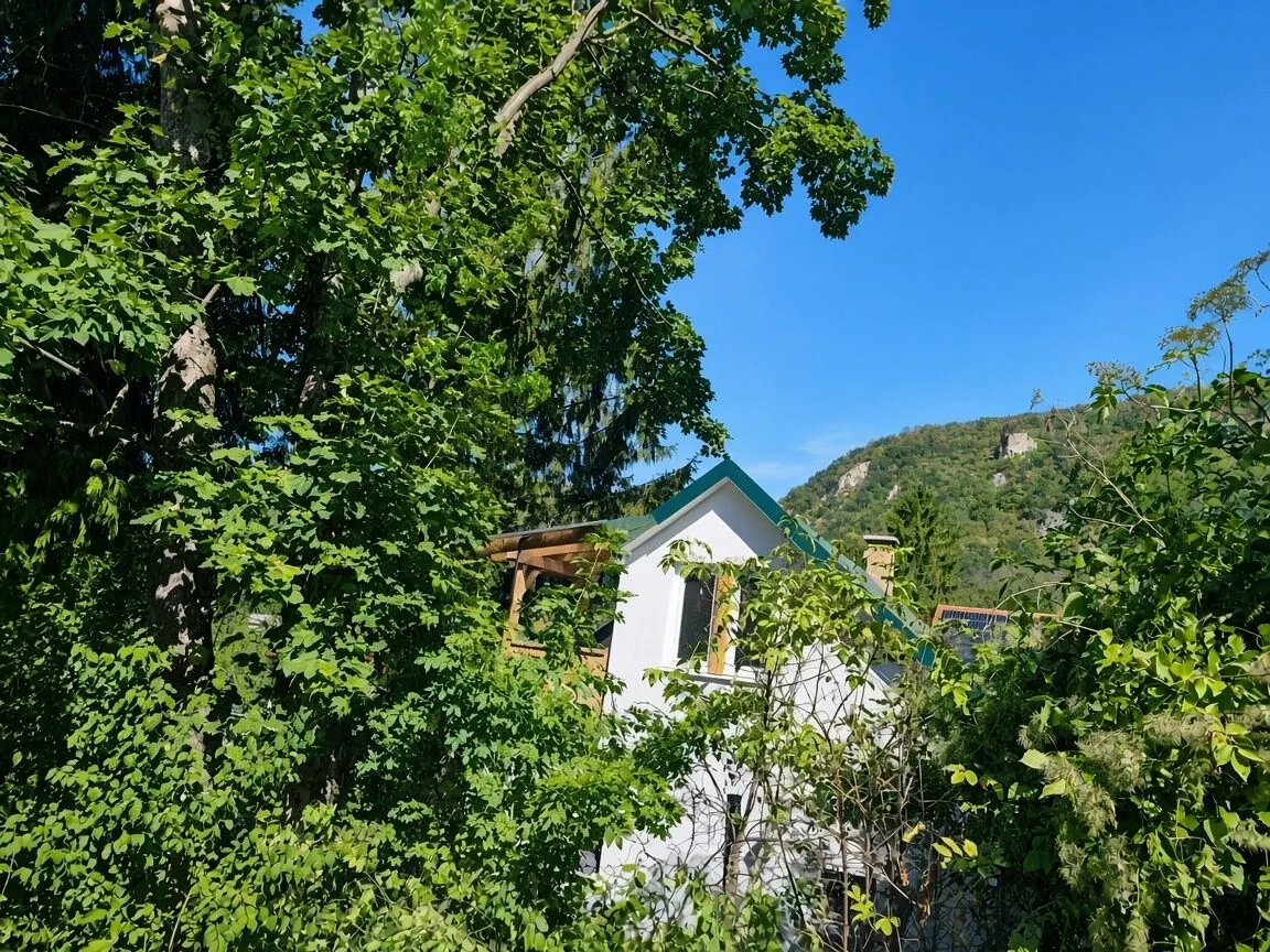 Szarvasbőgés a Klastromszirti Panoráma Vendégházban Kesztölc