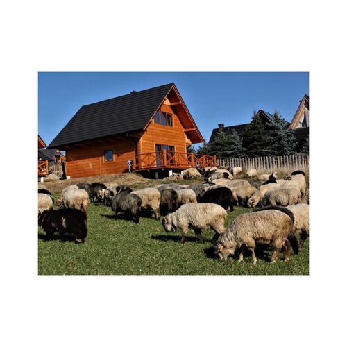 Spokój z Widokiem Chochołów