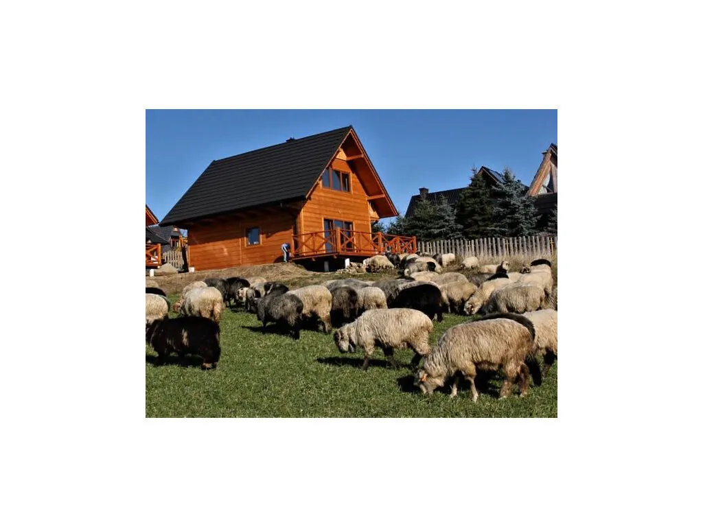 Spokój z Widokiem Chochołów