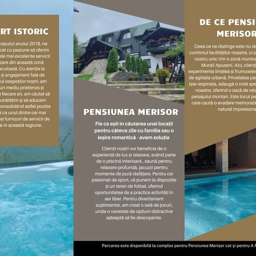 Pensiunea Merișor Răchițele 