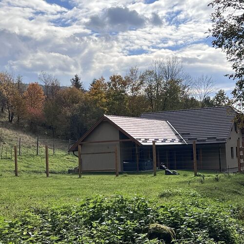 Erdei Nyugalom Vendégház Háromhuta