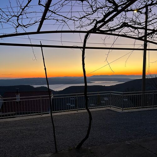 House Martin Grižane