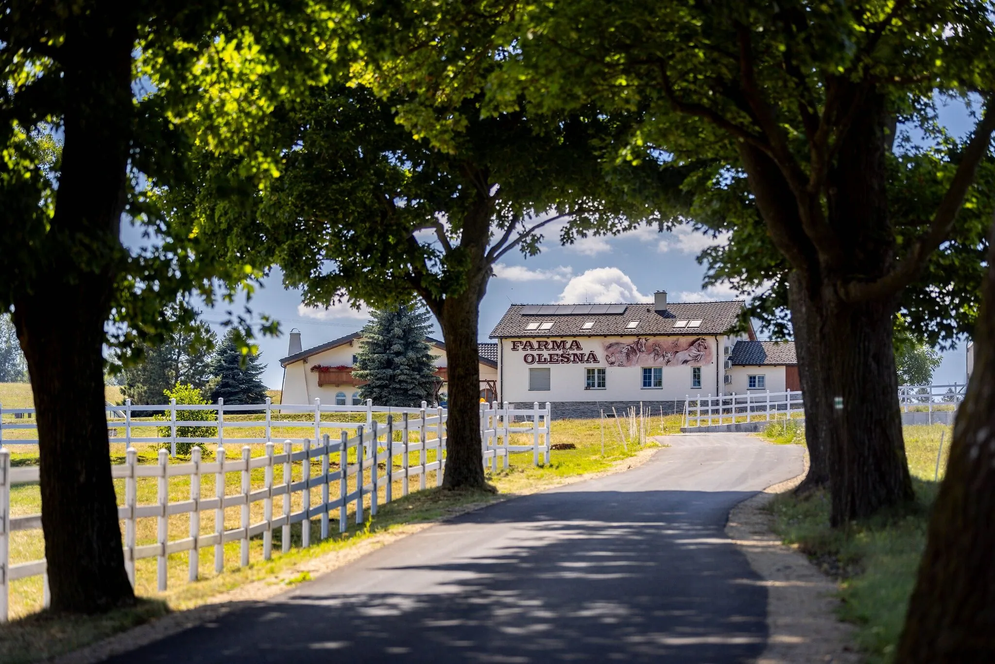Luxusní apartmán Blonde Farm