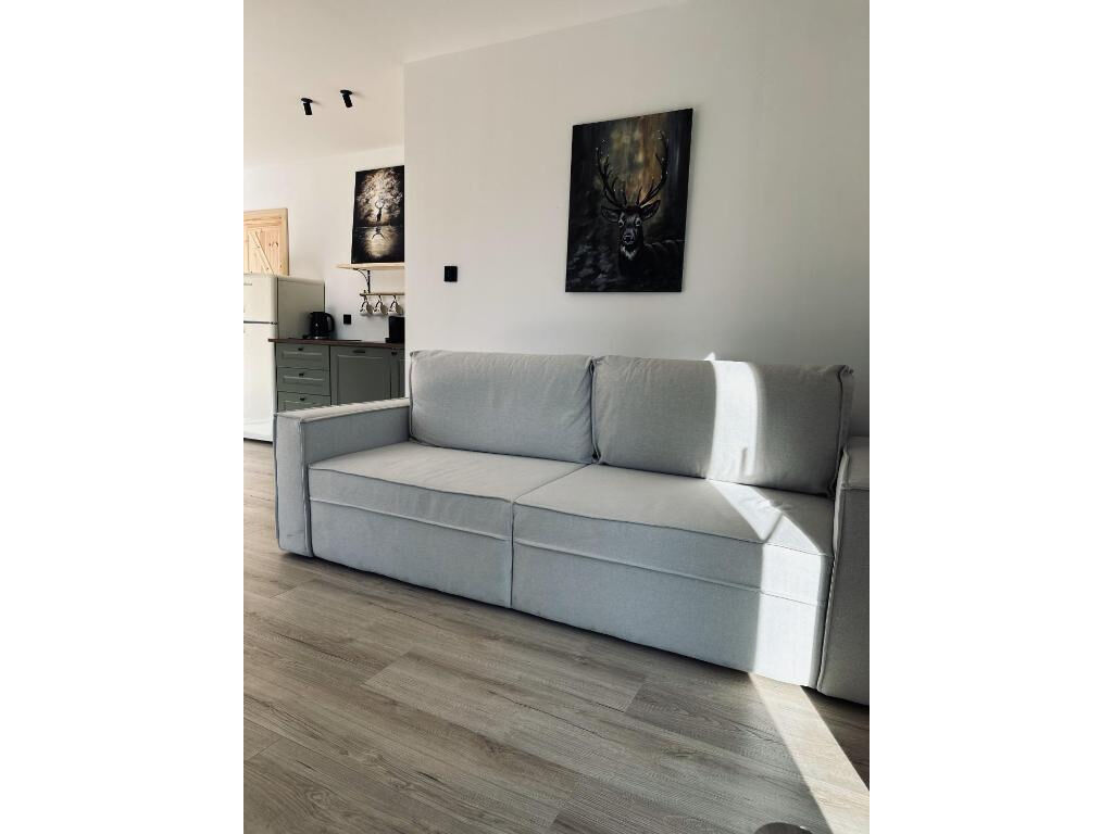 Apartamenty Brzegi Lasu Lipnica