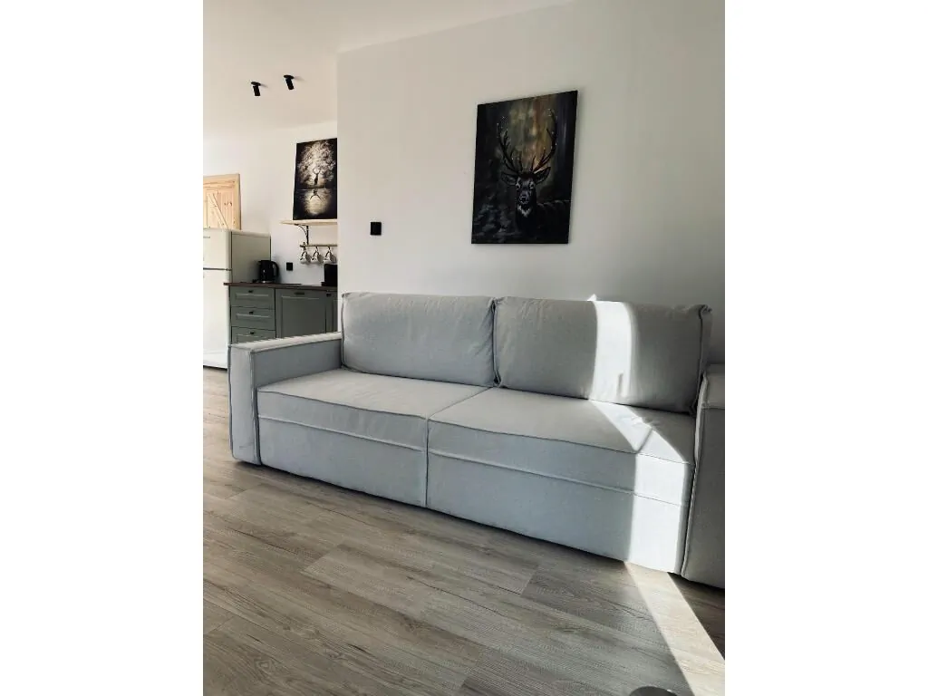Apartamenty Brzegi Lasu Lipnica