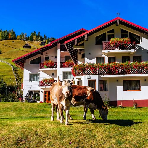 Pensiunea Padurea Verde Moieciu de Sus