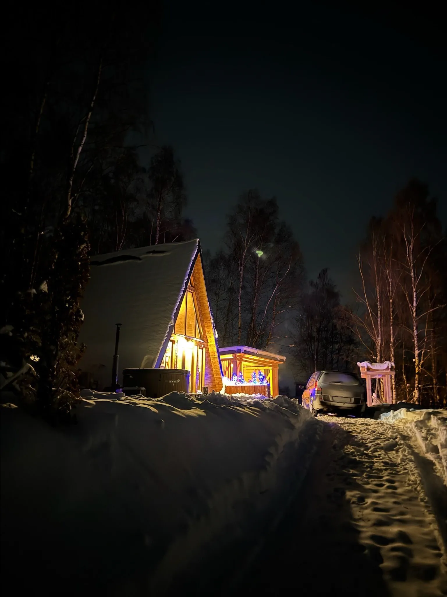 Wild Cabin Panoramic Mărișel