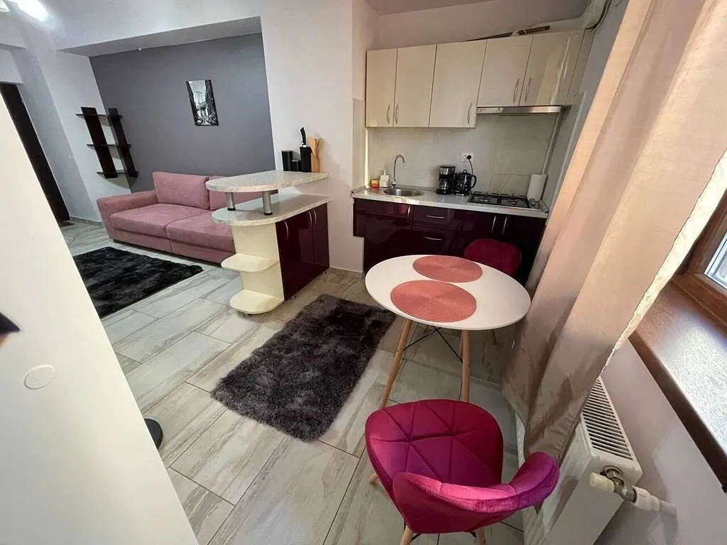Apartament Le Lupin / center Iași
