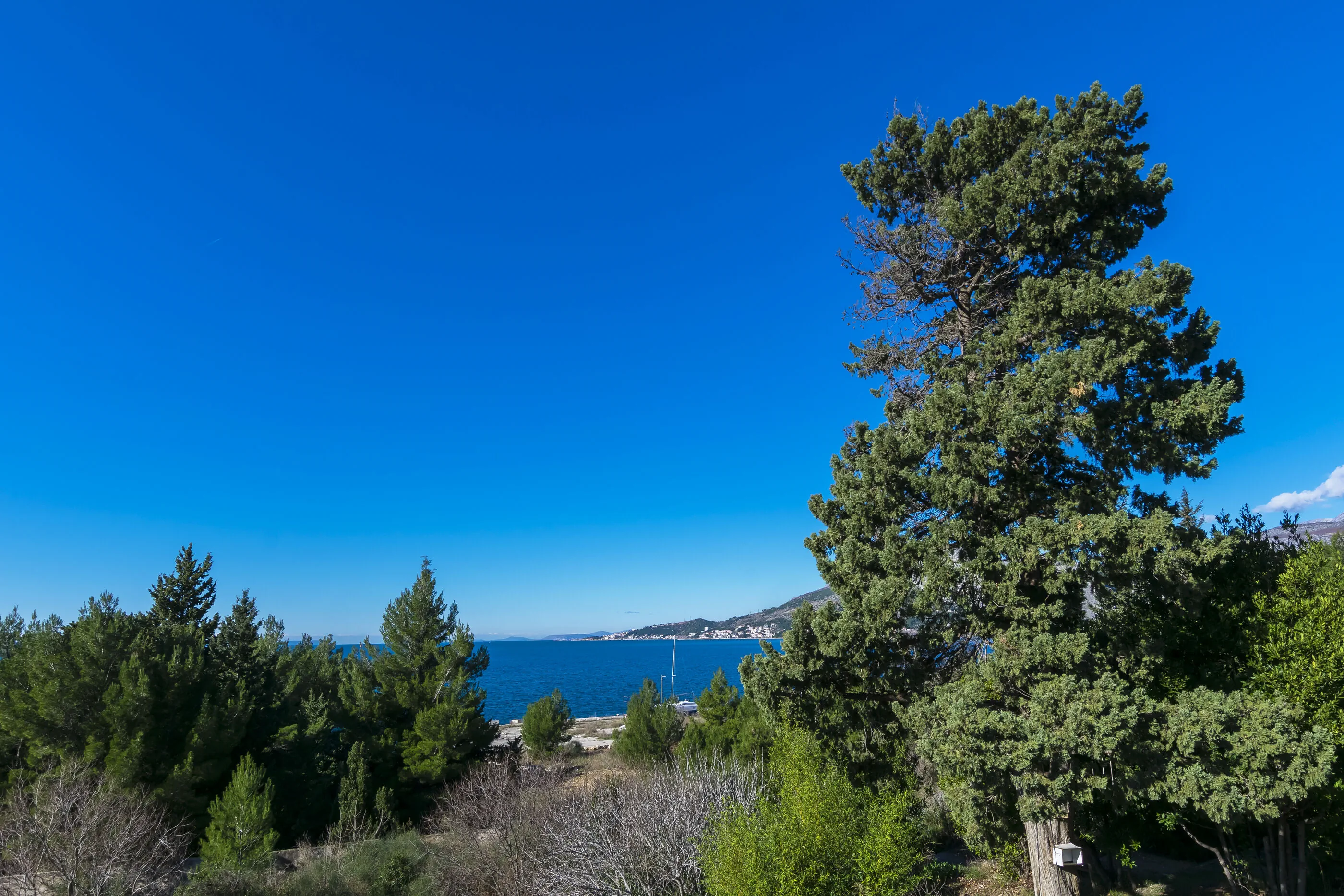 Apartments Pine and Sea Omis