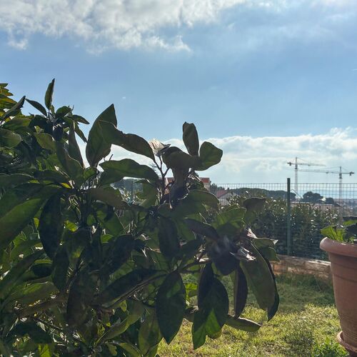 Apartman Zadar - CDY326