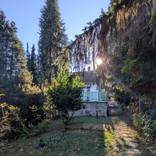 Gesztenyés Backpackers Kőszeg
