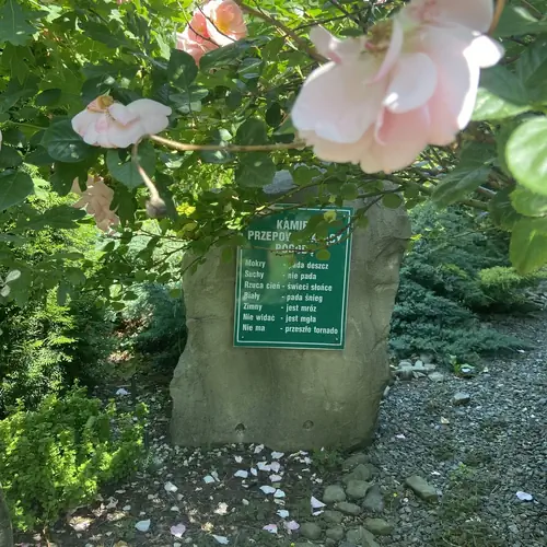 kamień przepowiadający pogodę