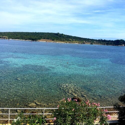 Apartment Blue Ilovik