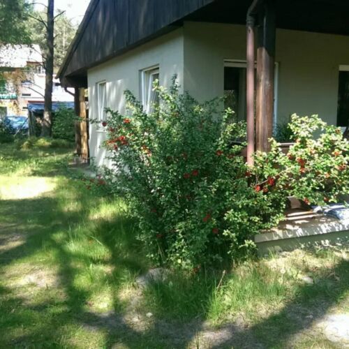 Domek Letniskowy Dębki