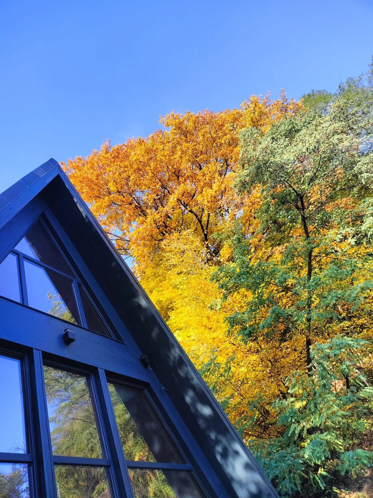 Mura Doftana A frame Valea Doftanei