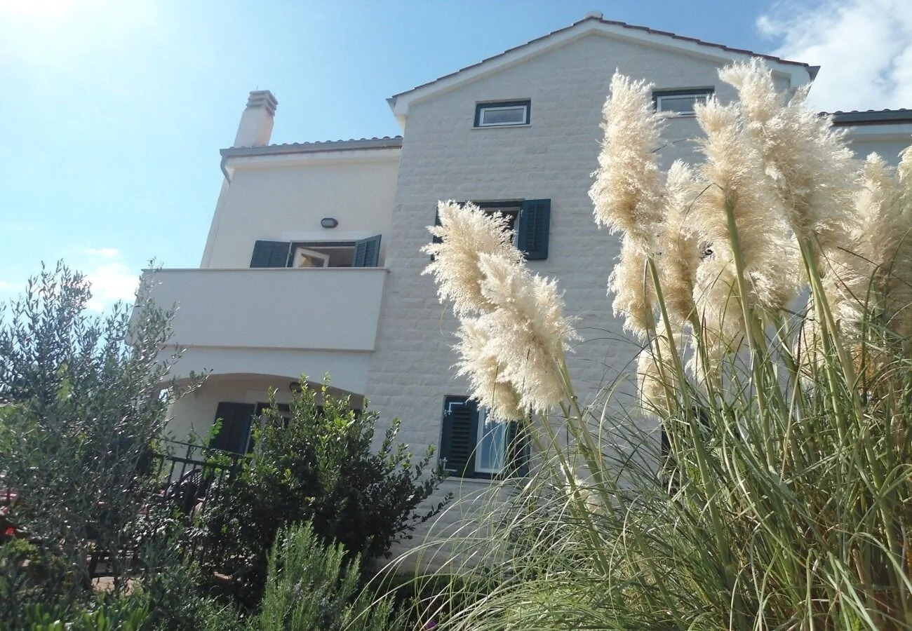 Apartments Azur Ilovik