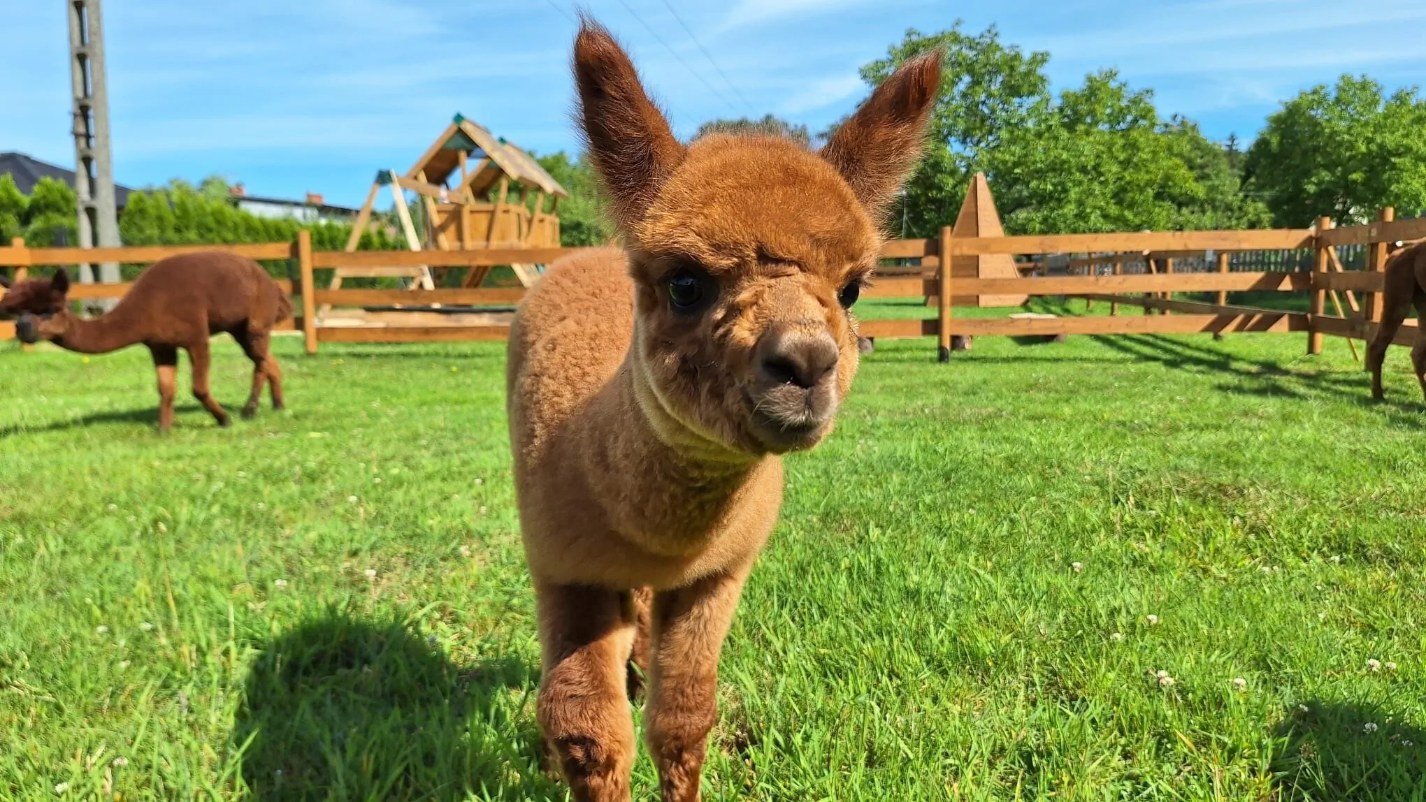 Agroturystyka Folwarczek Ustroń
