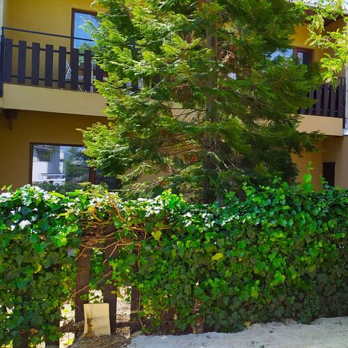 Mónika Magánszálláshely Balatonlelle