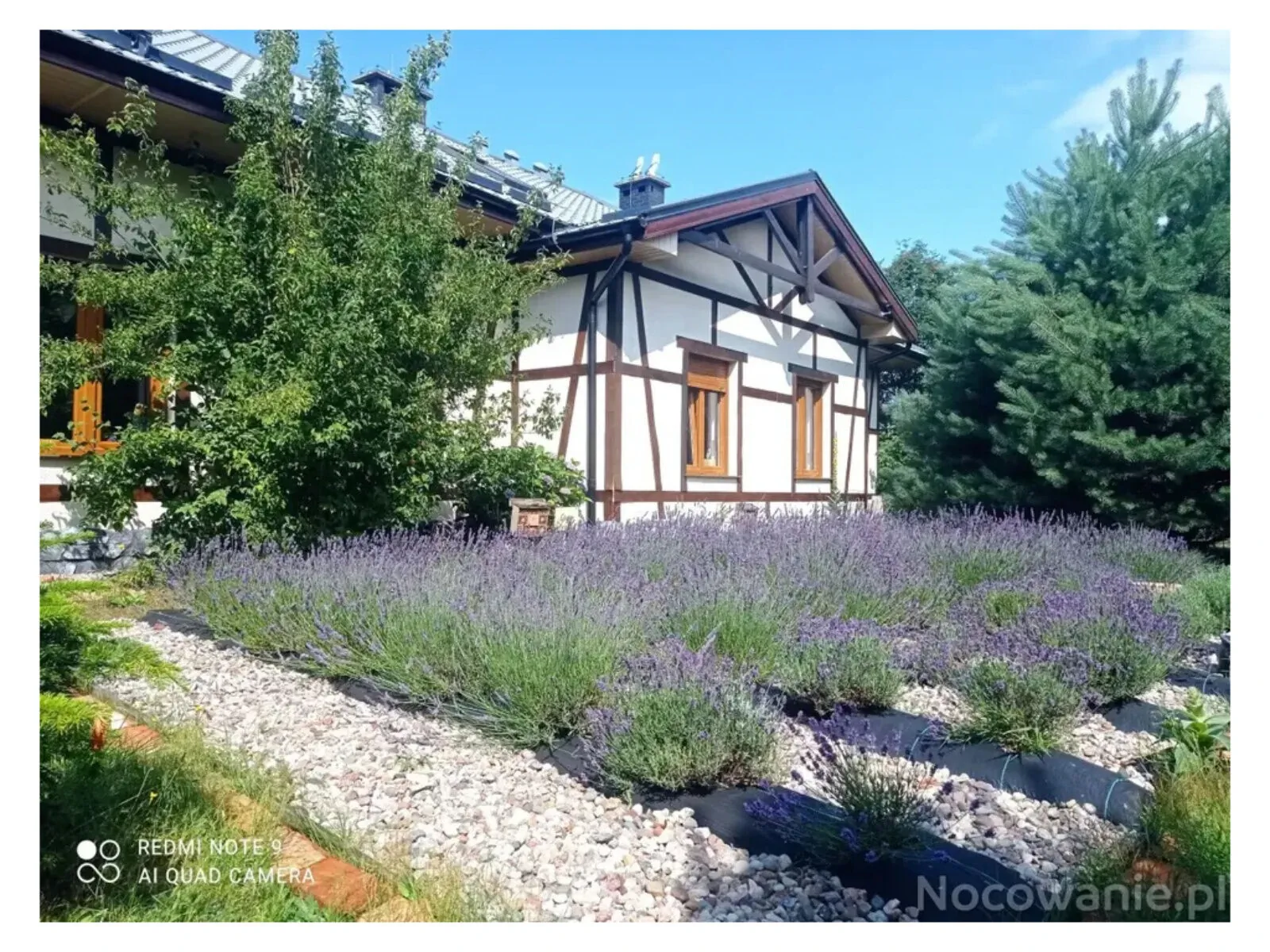 Apartamenty KlemenSówka Smołdziński Las