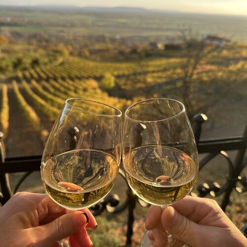 Fenn a Hegyen Vendégház Somló Somlóvásárhely