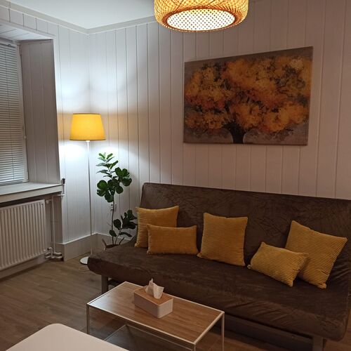 Słoneczny Apartament z sauną w Stroniu Śląskim