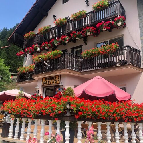 Pensiunea Darius Cheia