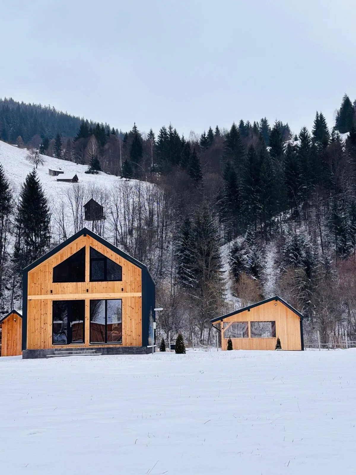 Cabana The Black Barn Dragoșa